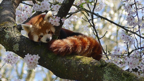 Osterferien und jetzt? Die besten Aktionen gegen Langeweile rund um Velbert