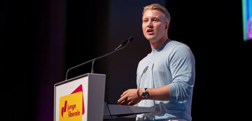 FDP in Baden-Württemberg: Nachwuchs kritisiert Parteiführung nach Wahlniederlage