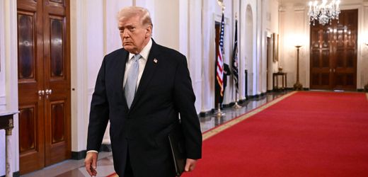 USA: Donald Trump droht mit ICE an Flughäfen wegen blockiertem Haushalt