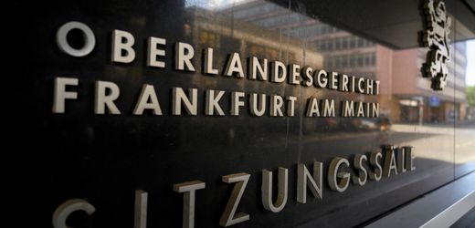 Frankfurt am Main: Pony fällt beim Einschläfern auf Tierärztin – Klage abgewiesen