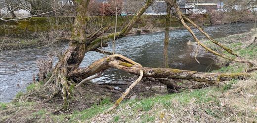 Siegen: Dreijähriger stirbt nach Sturz in Fluss bei Kita-Ausflug