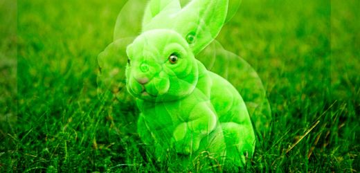 Künstliche Intelligenz: Wie unser Gehirn die KI überlisten könnte