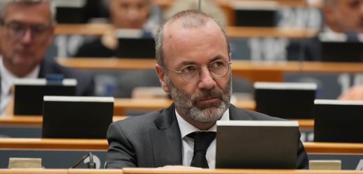 Manfred Weber: EVP-Chef wird zur Belastung für schwarz-rote Koalition
