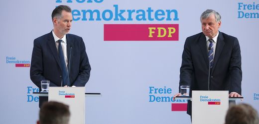 FDP in Baden-Württemberg nach der Wahl unter Druck: Ist da noch jemand?