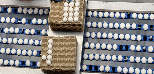 Eier-Preise: Warum sie zu Ostern noch mal teurer werden