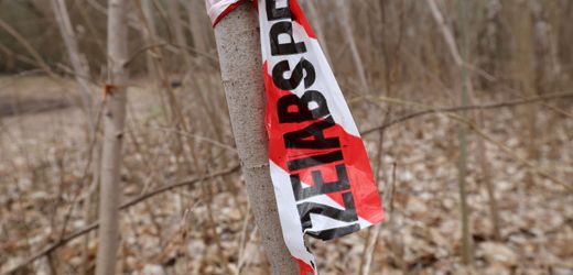 Rostock: Leichenteile in Schubkarre gefunden – Verdächtiger in U-Haft