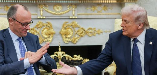 Friedrich Merz’ Außenpolitik: Macht der Kanzler wirklich eine gute Figur?