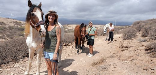 Tierretter auf Teneriffa: SPIEGEL TV über freiwillige Hilfe für misshandelte Pferde und Hunde