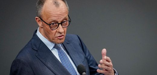 Friedrich Merz nennt Zuwanderung als eine Ursache für »explodierende Gewalt«