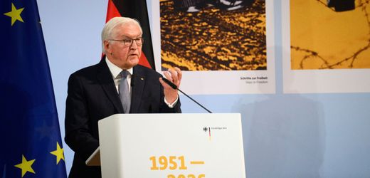 Iran-News heute: Steinmeier nennt Irankrieg der USA »völkerrechtswidrig«