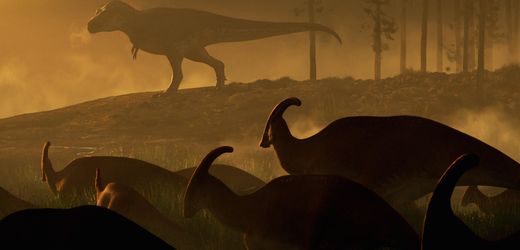 Dinosaurier: Hatte Tyrannosaurus rex einen nahen Verwandten?