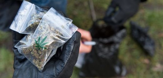 Mecklenburg-Vorpommern: Vielfach berauschter Speed-Radfahrer gestoppt