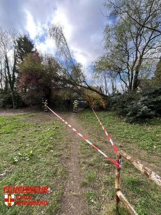 Feuerwehreinsatz in Rheinberg: Sturm fegt einen Baum in Budberg um
