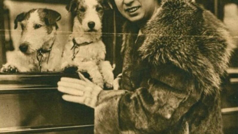 Nach Familienzwist: Der Streit um das Stinnes-Erbe – die Geschichte eines Duisburger Imperiums