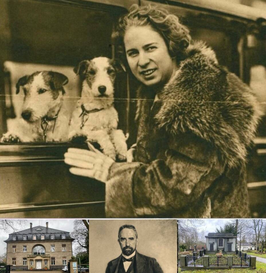 Nach Familienzwist: Der Streit um das Stinnes-Erbe – die Geschichte eines Duisburger Imperiums