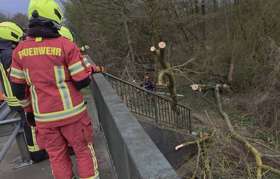 Feuerwehr war im Einsatz: Baum stürzt in Weeze auf Bundesstraße