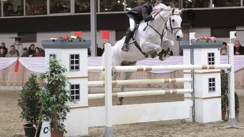 Einfluss auf Turnierkalender: Club der Pferdefreunde Goch geht einen völlig neuen Weg