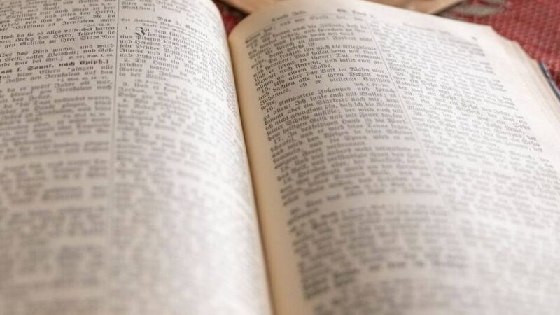 Kolumne Denkanstoß: Freut euch! Und warum?