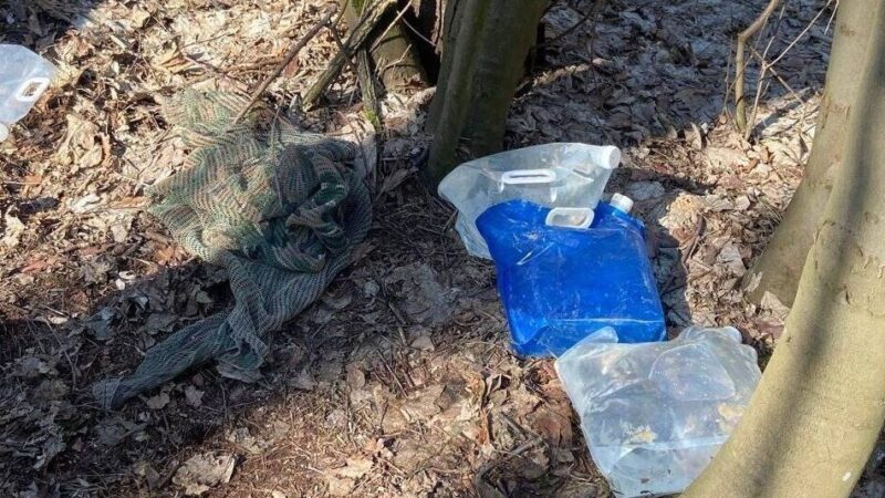 Einsätze der Emmericher Feuerwehr: Seltsamer Fund im Wald ruft Wehr auf den Plan