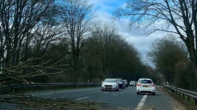 Glück im Wochenendverkehr: Mächtiger Baum stürzt auf Bundesstraße in Kranenburg