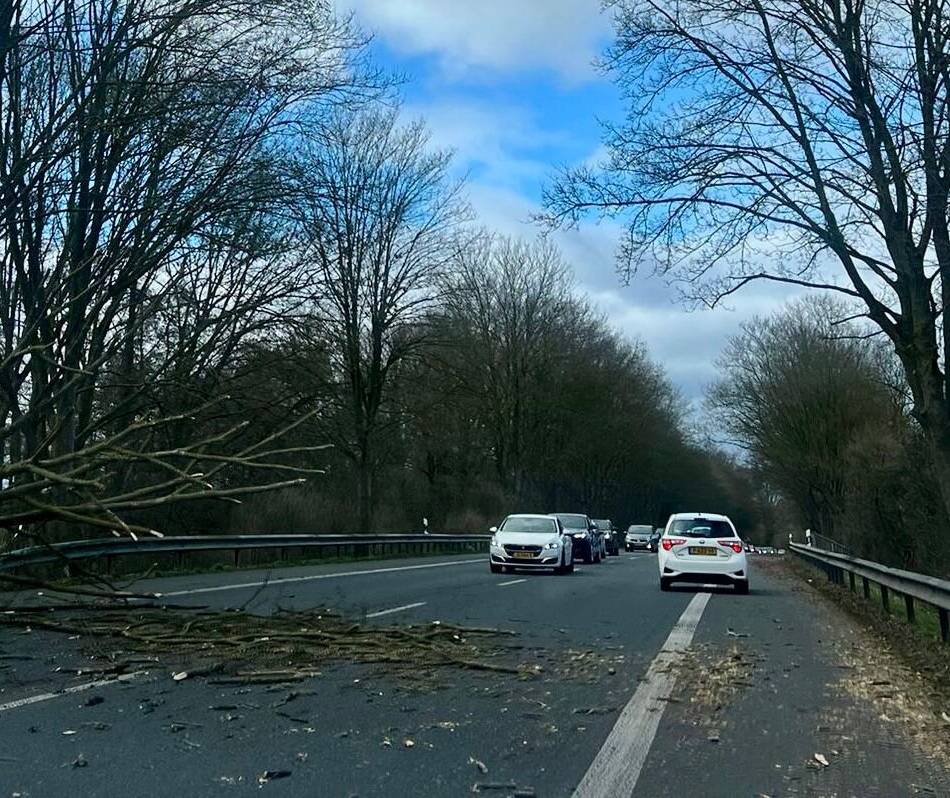 Glück im Wochenendverkehr: Mächtiger Baum stürzt auf Bundesstraße in Kranenburg