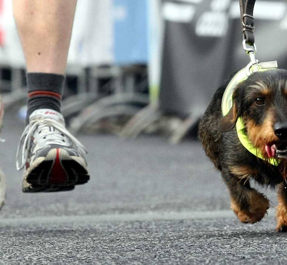 Straßenlauf in Leverkusen: „Rund um das Bayer-Kreuz“ wird’s am Sonntag sportlich