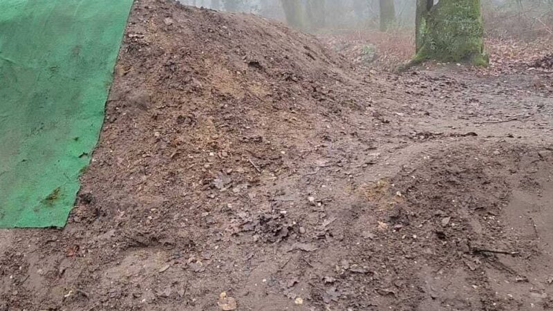 Am Alpener Schmuhlsberg: Illegale Mountainbike-Strecke wird zurückgebaut