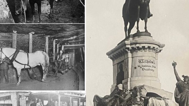 Pferde – Ausbeutung und Statussymbol: Oben im Sattel, unten im Joch