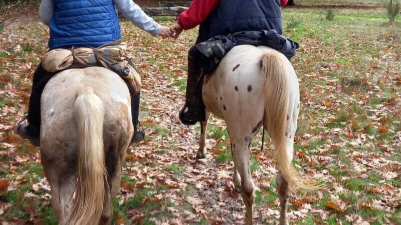 Buschreiter Bracht: Mit dem Rittführer ins Gelände