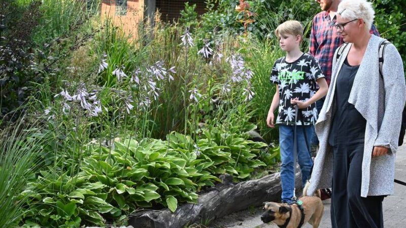 Seuche im Kreis Kleve: Tiergarten Kleve lockert Schutzmaßnahmen zur Geflügelpest