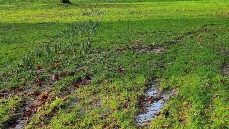 Grünarbeiten in Mönchengladbach: Anwohner-Kritik an Matschspuren im Bunten Garten