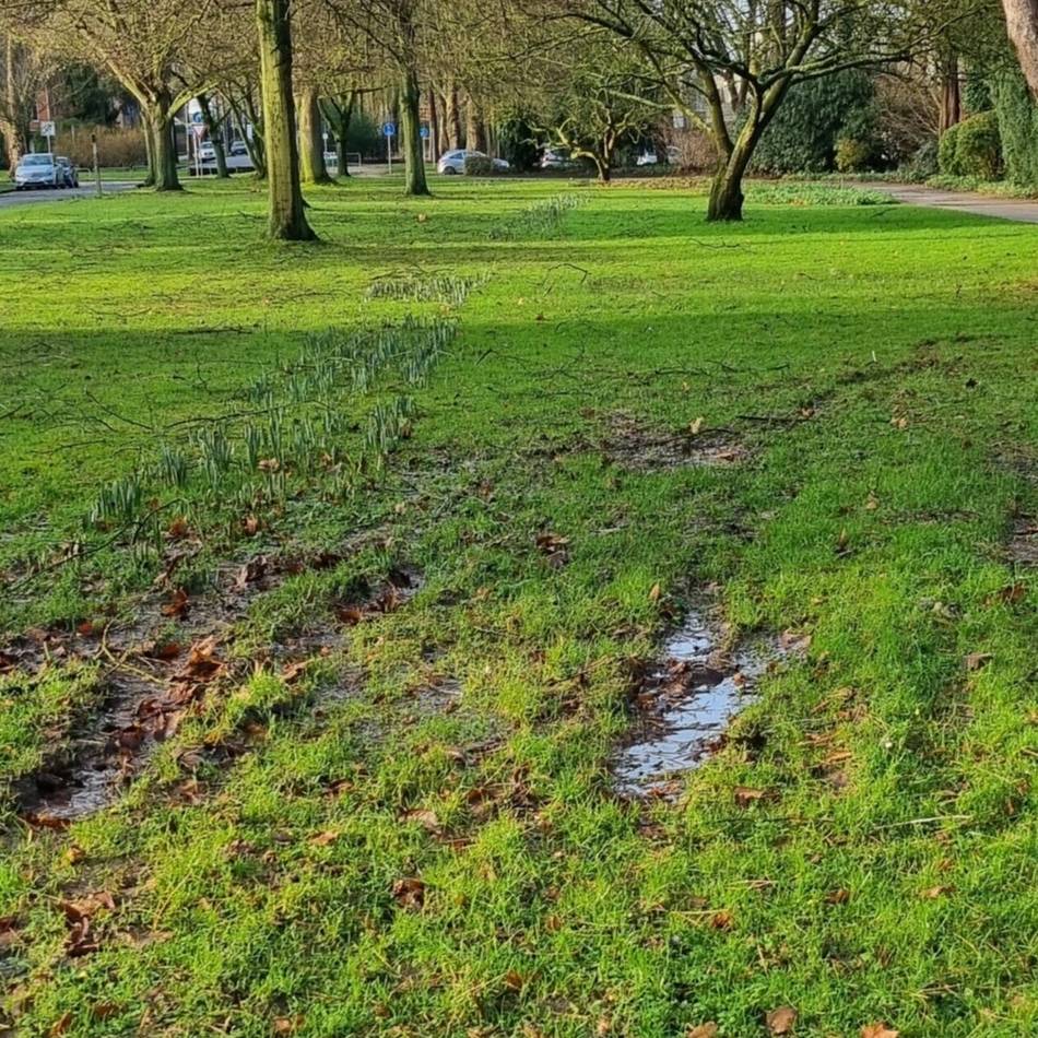 Grünarbeiten in Mönchengladbach: Anwohner-Kritik an Matschspuren im Bunten Garten