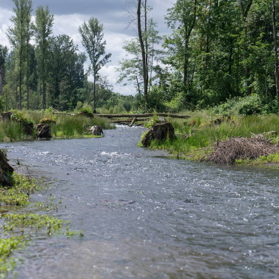 Weltwassertag in Mönchengladbach: Mehr lernen über den Bresgespark