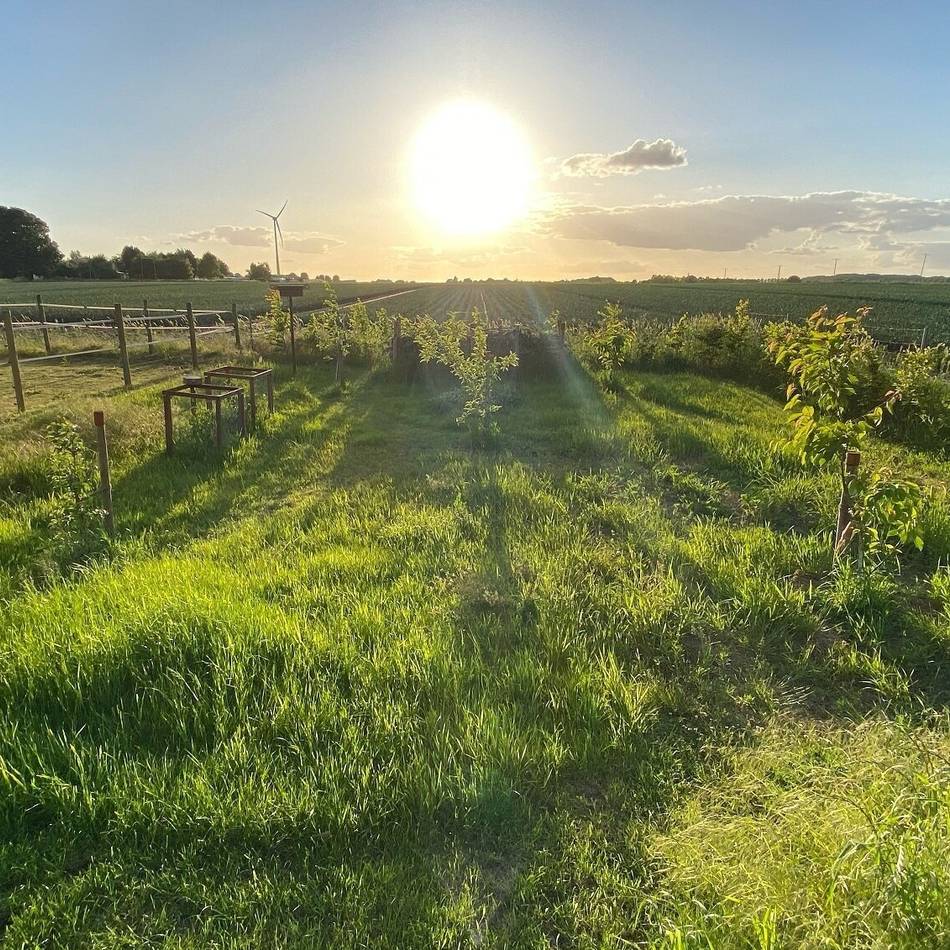 Ausgezeichnet von „Nettetal fürs Klima“: Wie aus einem Acker ein Paradies für Vögel, Insekten und Pflanzen wurde