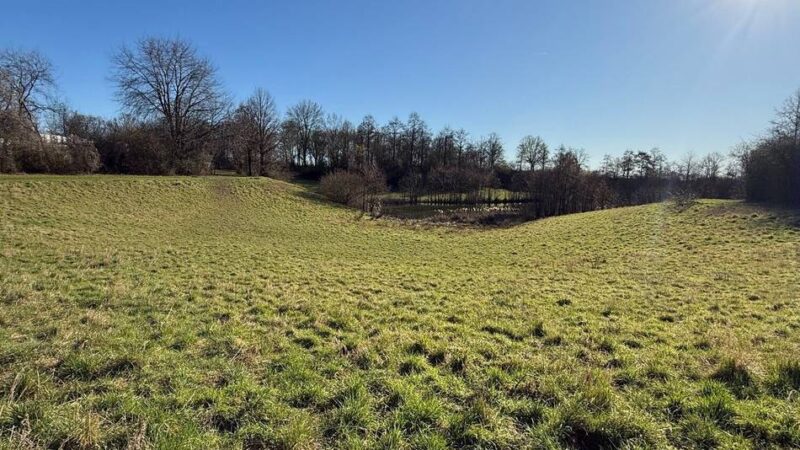 Nach langer Suche: Erkelenz findet Standort für Hundewiese