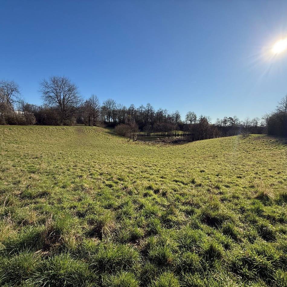 Nach langer Suche: Erkelenz findet Standort für Hundewiese