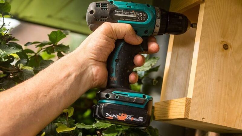 Unterstützung für Naturschutzprojekte: Land fördert wieder Umweltinitiativen