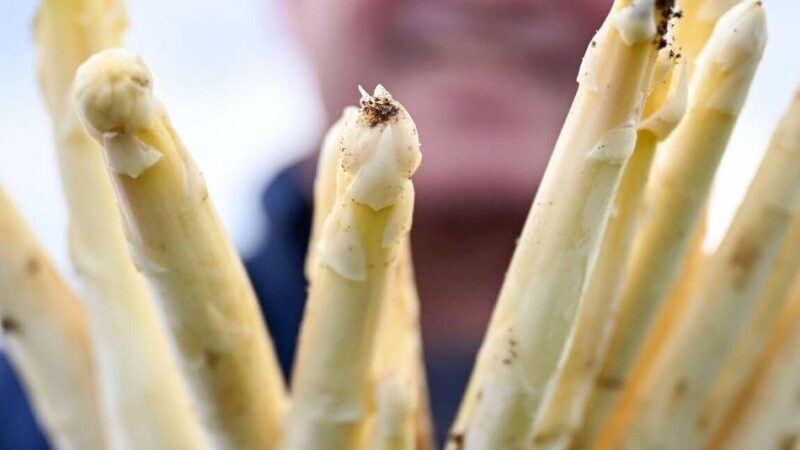 Schlemmertouren durch Nettetal: Anmeldung für Schlemmertouren gestartet