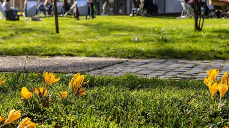 Etwa zwei Millionen Euro Defizit: Haushalt in Jüchen – jetzt entscheidet der Stadtrat