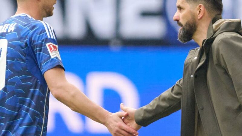 Patzer der Konkurrenz nicht genutzt: Dzeko trifft und sieht Rot – Schalke kassiert späten Ausgleich gegen Hannover