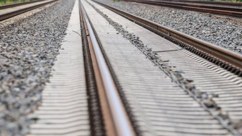 Ersatzverkehr eingerichtet: Baum legt Zugverkehr zwischen Jüchen und Odenkirchen lahm