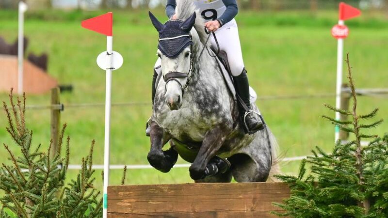 Vielseitigkeitsreiten: Beim Kreisturnier in Kamp ist alles möglich