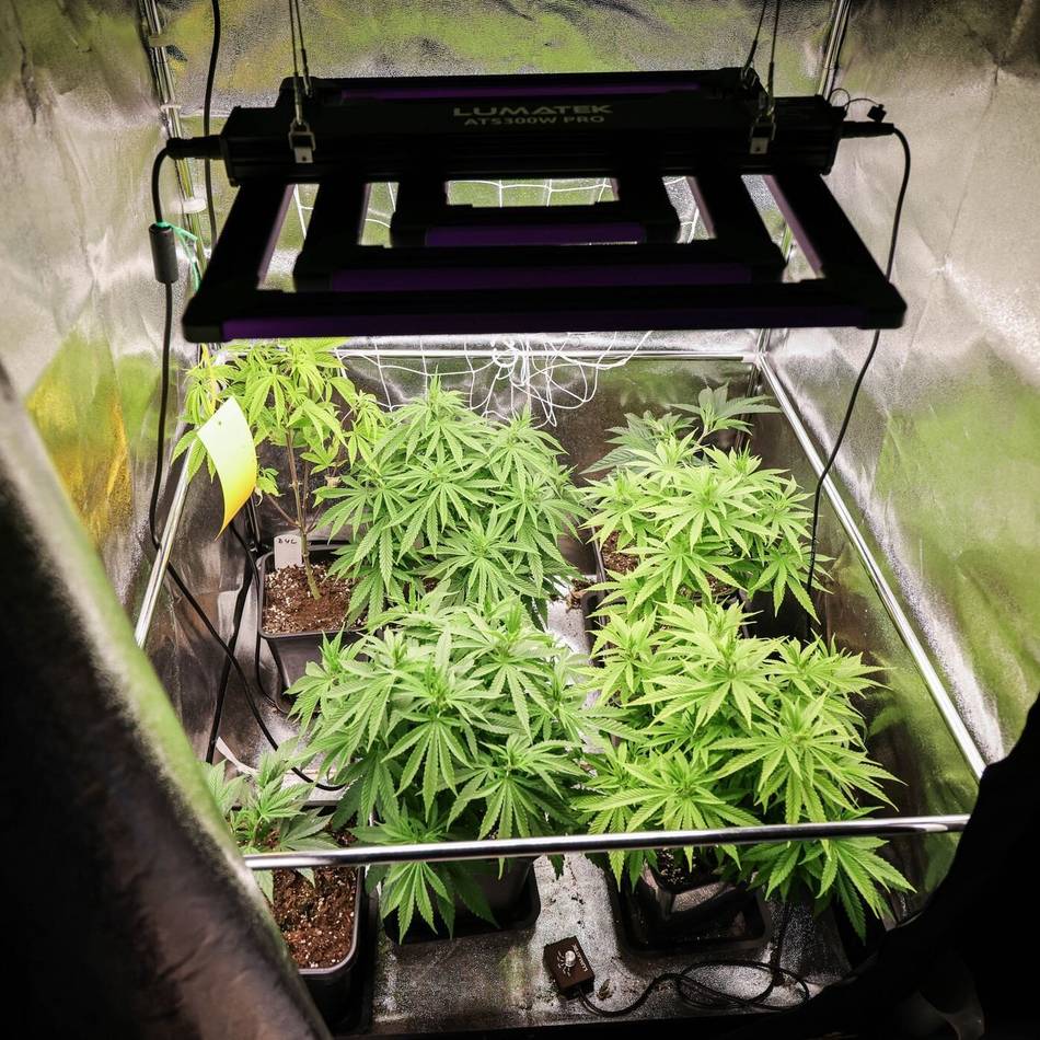 Kriminalität in Meerbusch: Rauschgiftdelikte auf niedrigstem Stand seit zehn Jahren