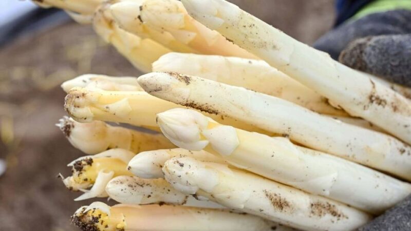 Saison-Auftakt in Moers: Der Spargelverkauf auf den Wochenmärkten ist gestartet