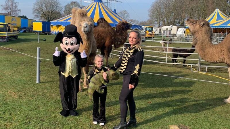 Ab Donnerstag: Circus Renz mit Vorführungen in Goch für die ganze Familie