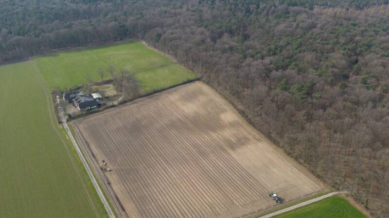 21.000 Bäume gepflanzt: Kleve bekommt fünf Hektar neuen Wald dazu