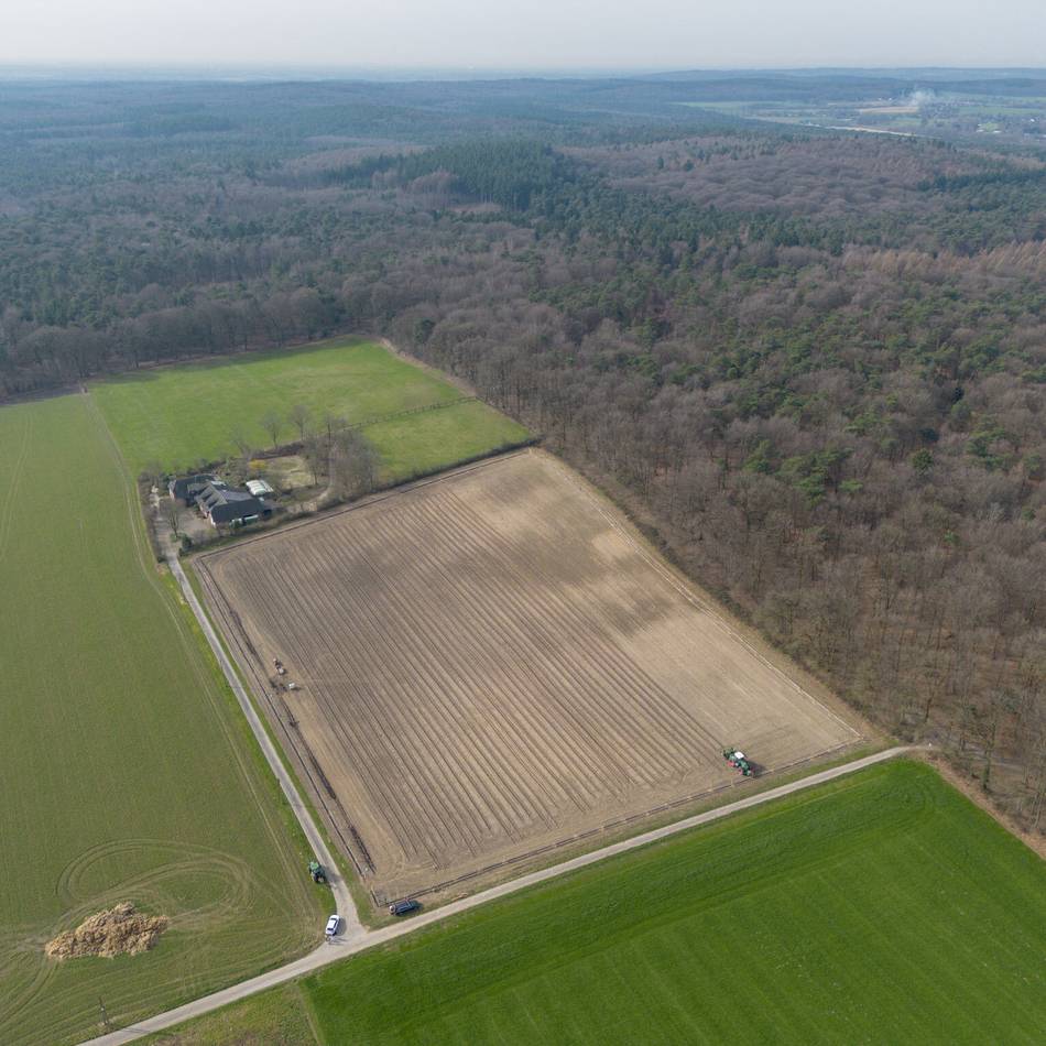 21.000 Bäume gepflanzt: Kleve bekommt fünf Hektar neuen Wald dazu