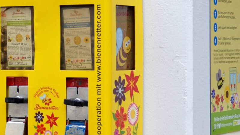 Am Rathaus Brüggen: Bienenfutterautomat ist zurück aus der Winterpause