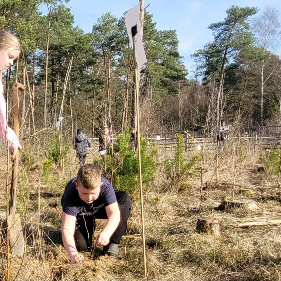 30. Internationaler Baumpflanztag: Schülerinnen und Schüler aus Brüggen pflanzen 1500 Bäume