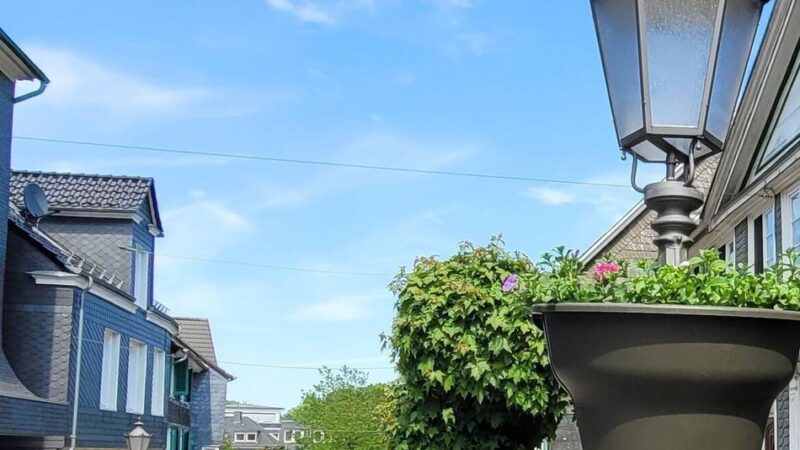 „Wir sind Hückeswagen“: Paten gesucht für farbenfrohe Blumenampeln